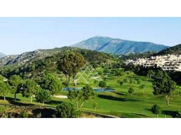 Terreno en Urbanización Los Flamingos, 17