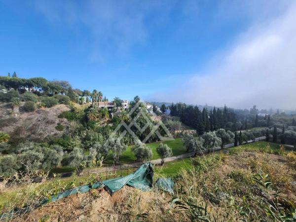 Terreno en Urbanización Los Flamingos, 17