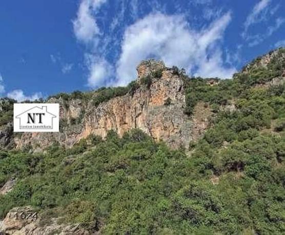 Terreno en Benahavís