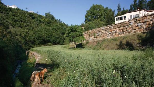 Terreno en avenida de Ronda, Puerto del Almendro