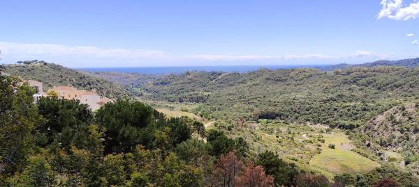 Terreno en Montemayor-Marbella Club