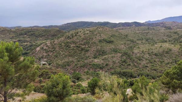 Terreno en Montemayor-Marbella Club