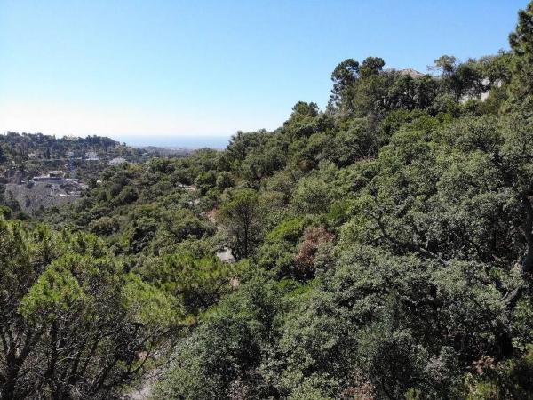 Terreno en El Madroñal