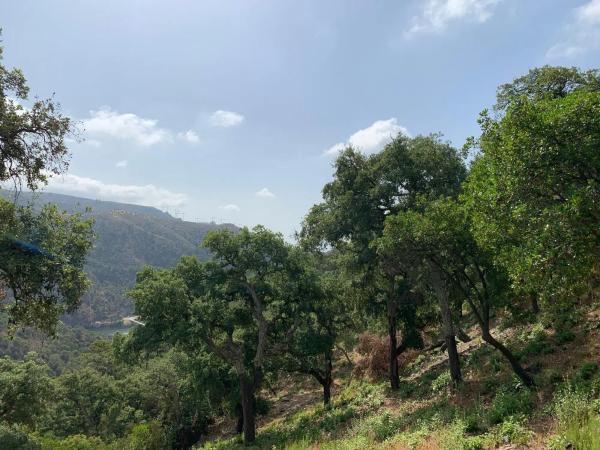 Terreno en El Madroñal