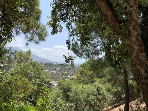 Terreno en El Madroñal