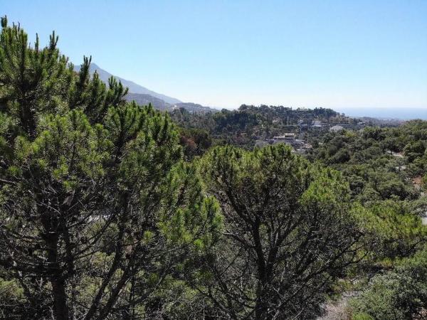Terreno en El Madroñal