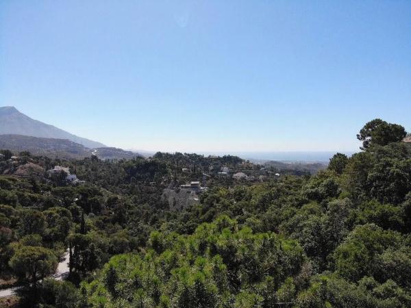 Terreno en El Madroñal