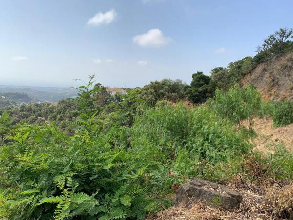 Terreno en El Madroñal