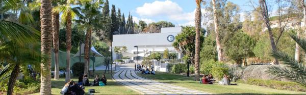 Terreno en El Madroñal