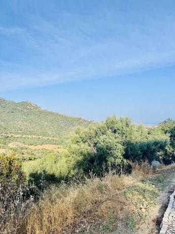 Terreno en Fwvj+r3 Benahavís, España