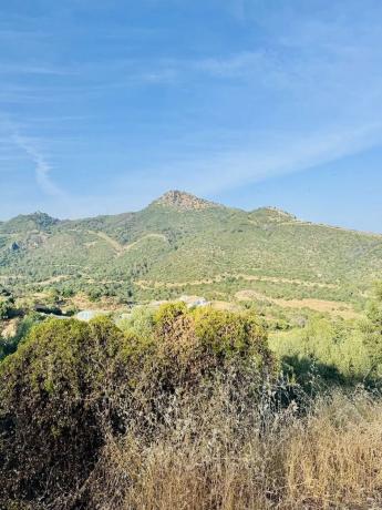 Terreno en Fwvj+r3 Benahavís, España