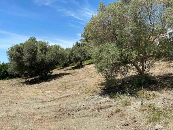 Terreno en calle Benahavis