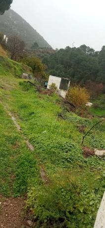 Terreno en calle Calvario, 29611 , en