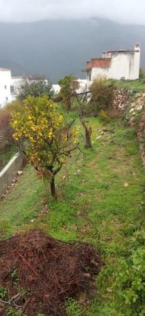 Terreno en calle Calvario, 29611 , en