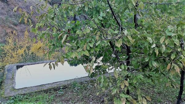 Terreno en Diseminado diseminados, 70