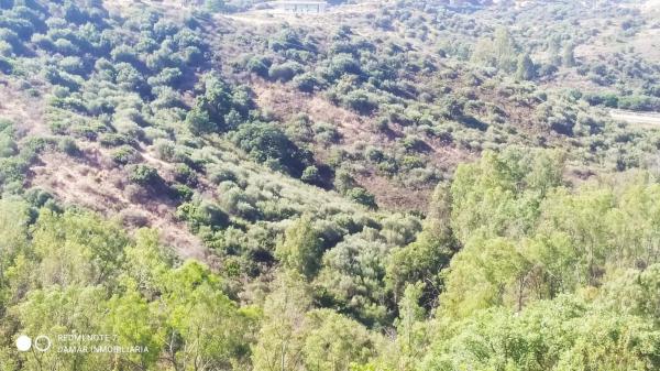 Terreno en avenida de españa s/n