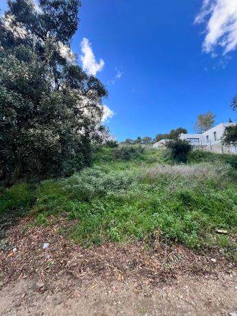 Terreno en calle Trebol