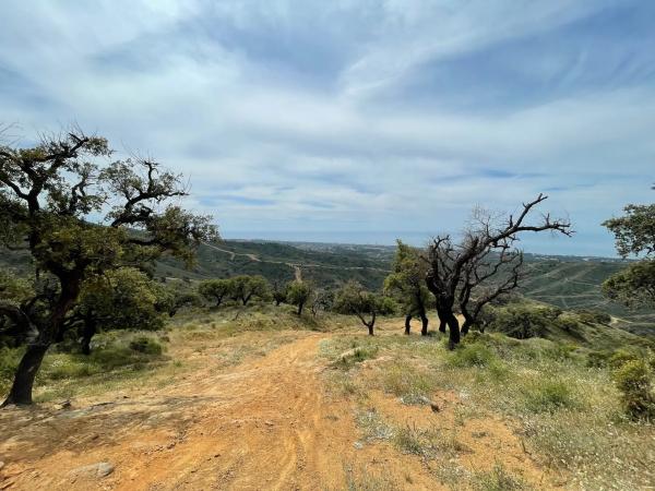 Terreno en elviria s/n