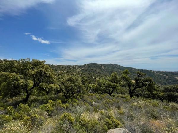 Terreno en elviria s/n