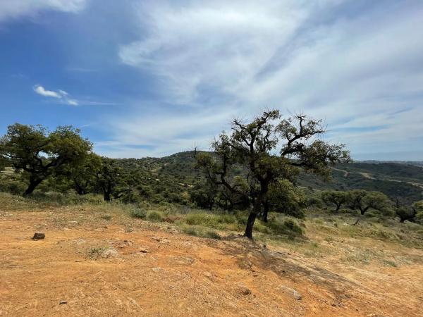 Terreno en elviria s/n