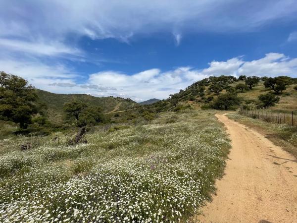 Terreno en elviria s/n