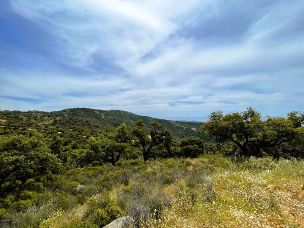 Terreno en elviria s/n