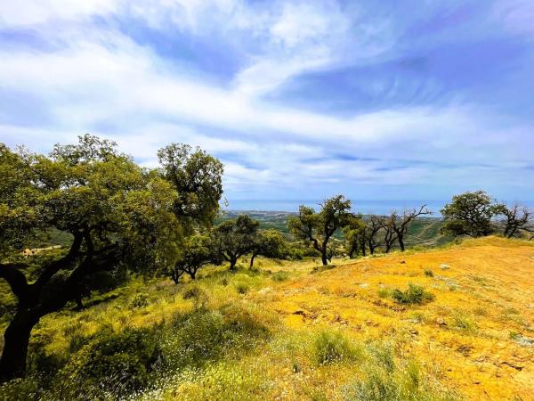 Terreno en elviria s/n