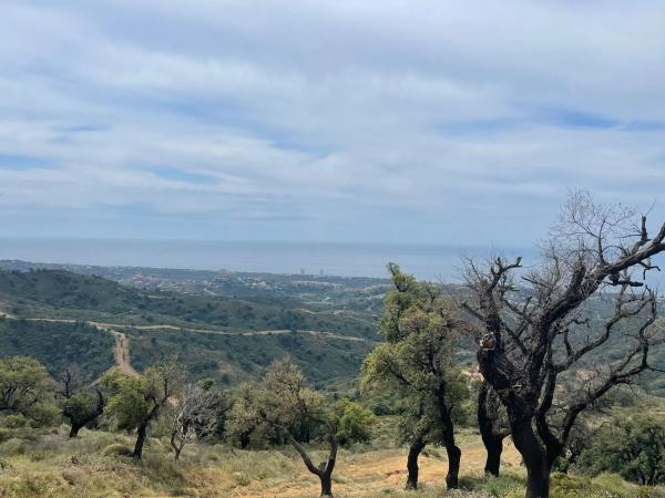 Terreno en elviria s/n