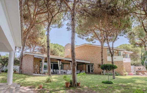 Terreno en calle de los Castaños, 16