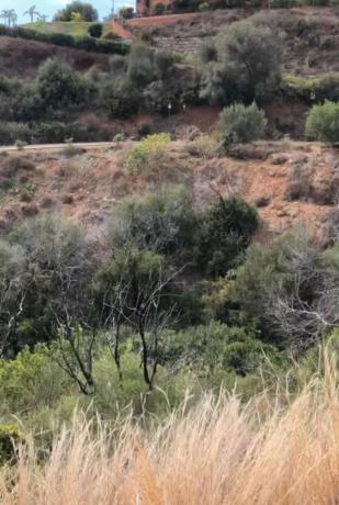 Terreno en Urbanización el Rosario