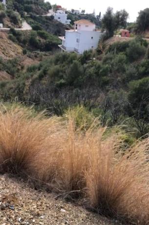 Terreno en Urbanización el Rosario