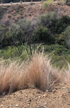 Terreno en Urbanización el Rosario