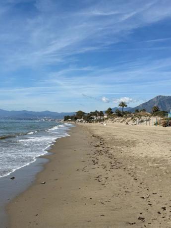 Terreno en calle los Plataneros, 8