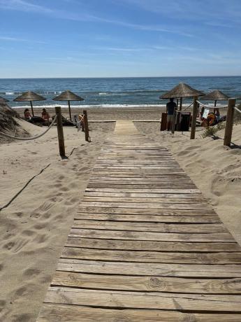 Terreno en calle los Plataneros, 8