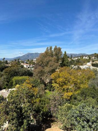 Terreno en calle los Plataneros, 8