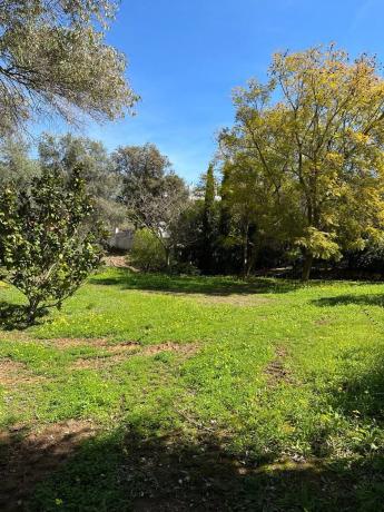 Terreno en calle los Plataneros, 8