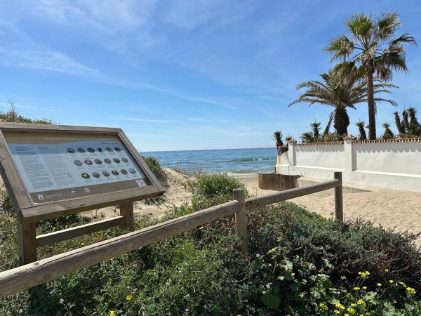 Terreno en calle los Plataneros, 8