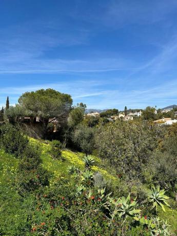 Terreno en calle los Plataneros, 8