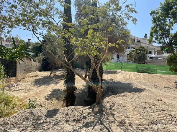 Terreno en calle los Robles, 133