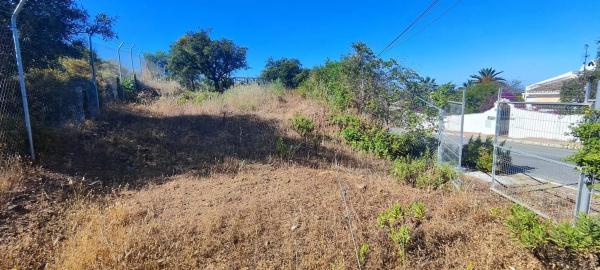 Terreno en avenida los Pinos, 62