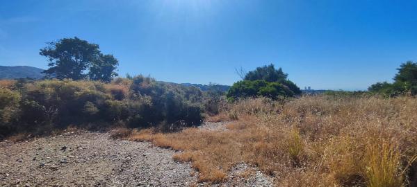 Terreno en avenida los Pinos, 62