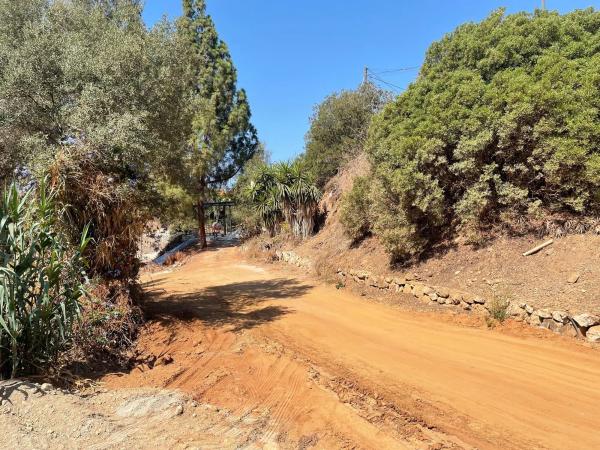 Terreno en calle los Robles, 133