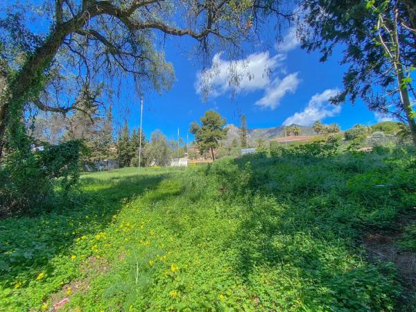 Terreno en calle Bobadilla