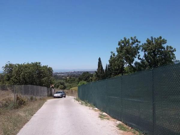 Terreno en calle Albinoni, 1