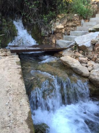 Terreno en calle Albinoni, 1