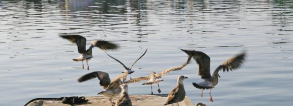 Terreno en Barrio Alto de los Monteros