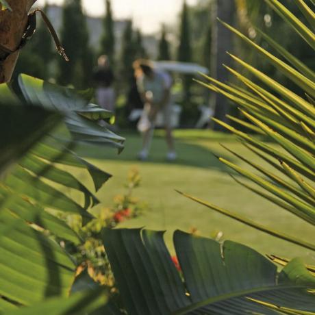 Terreno en Barrio Alto de los Monteros