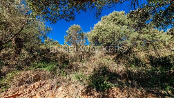Terreno en carretera de Lomas de Marbella