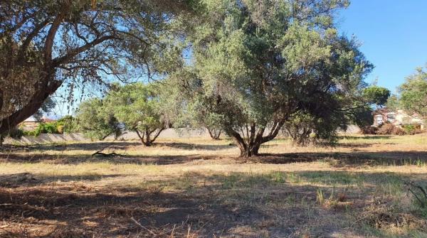 Terreno en calle Boreal s/n