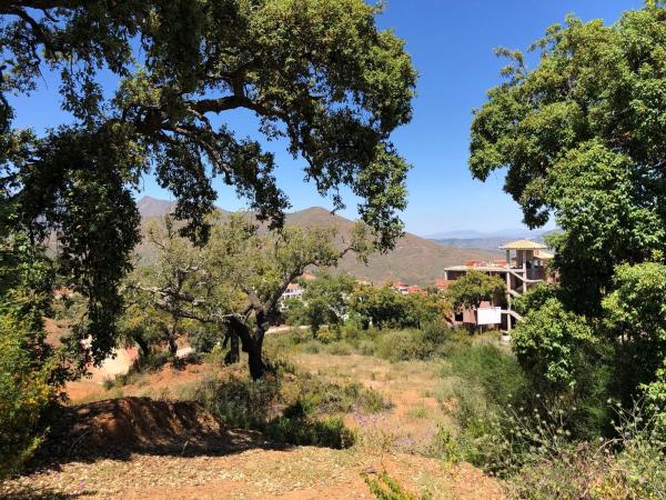 Terreno en calle Cantabria s/n